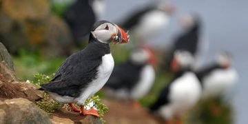 Healthy on a Budget: 12 Simple Tips to Nourish Your Body Without Breaking the Bank